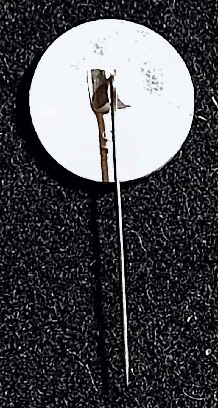 Ленин В.И. Ульянов. круглый. фрачник 1