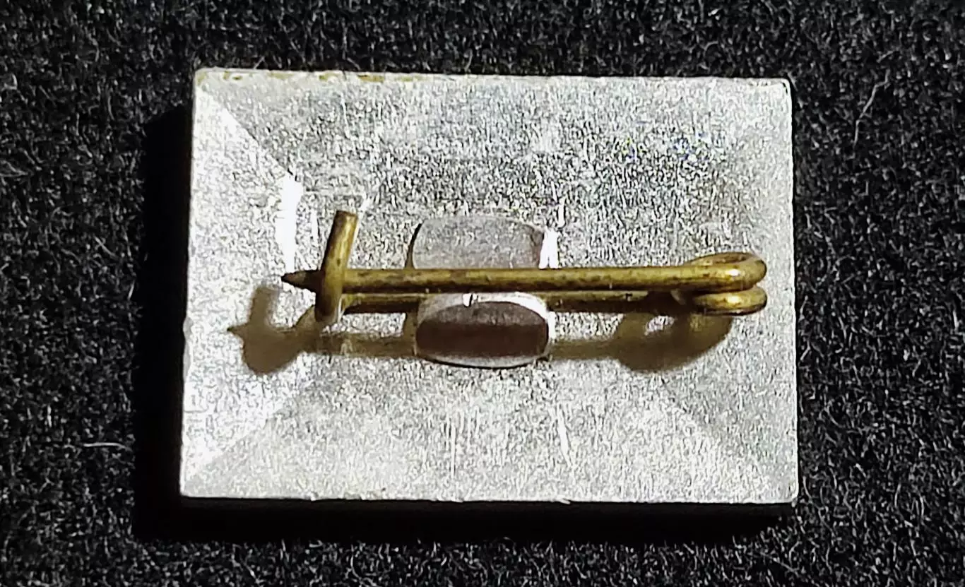 Ленин В.И. Ульянов. серьезный 1