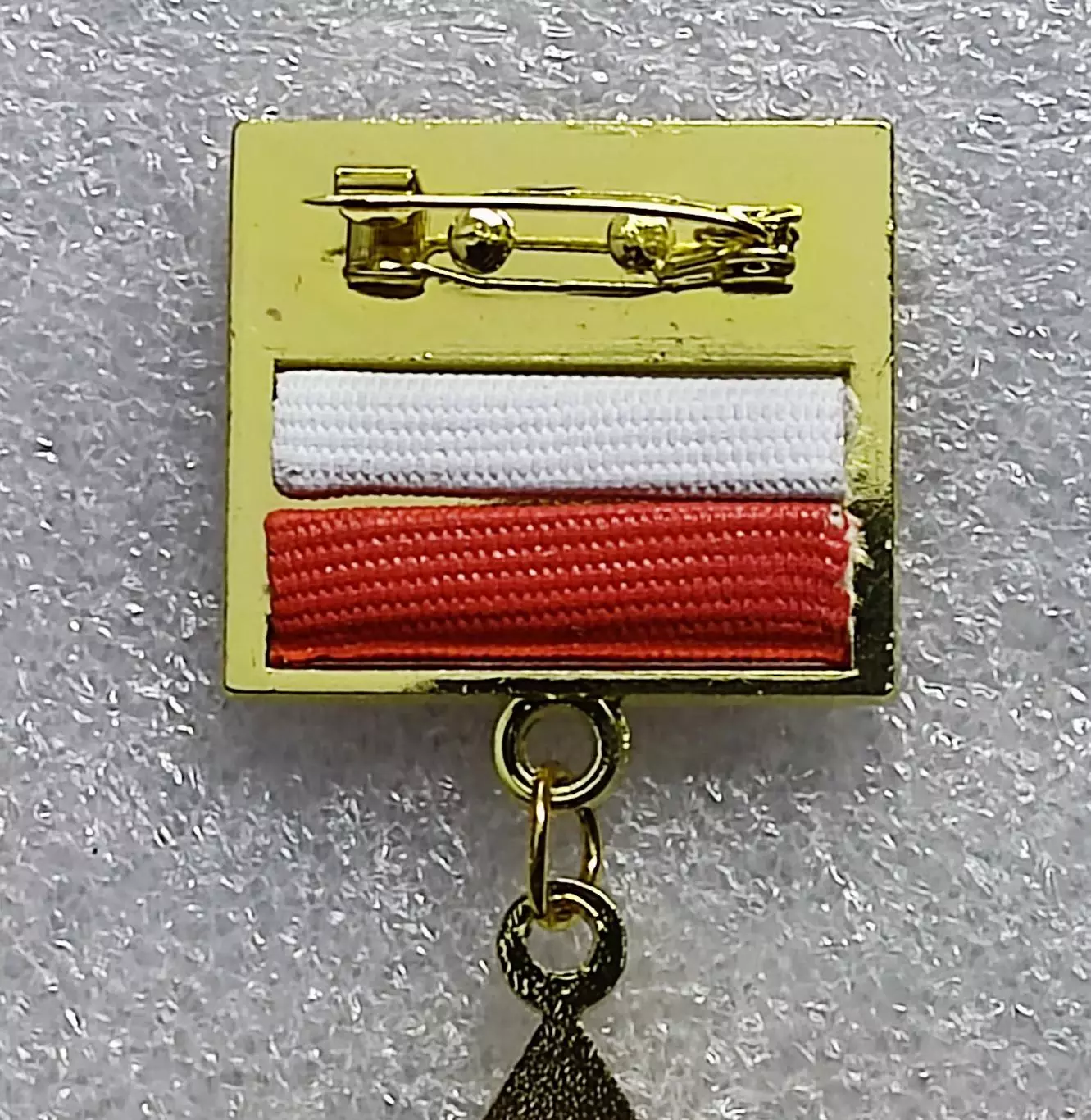 ЦК ВЛКСМ. ПИОНЕРИЯ АРТЕК - 100 ЛЕТ. 1925 -2025 БЕЗ УДОСТОВЕРЕНИЯ тяжелый 4