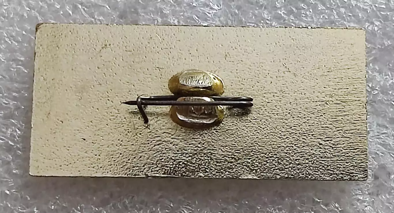 ПИОНЕРИЯ. ОРЕНБУРГСКАЯ ДЕТСКАЯ ЖЕЛЕЗНАЯ ДОРОГА - 25 ЛЕТ. ПОЕЗД Ж.Д. 1