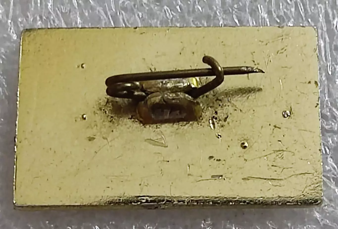 ФЛОТ СССР. ДЕЛЕГАТ 4 СЪЕЗДА ПРОФСОЮЗОВ РЫБОЛОВЕЦКОГО ФЛОТА. КРЫМ 971 1