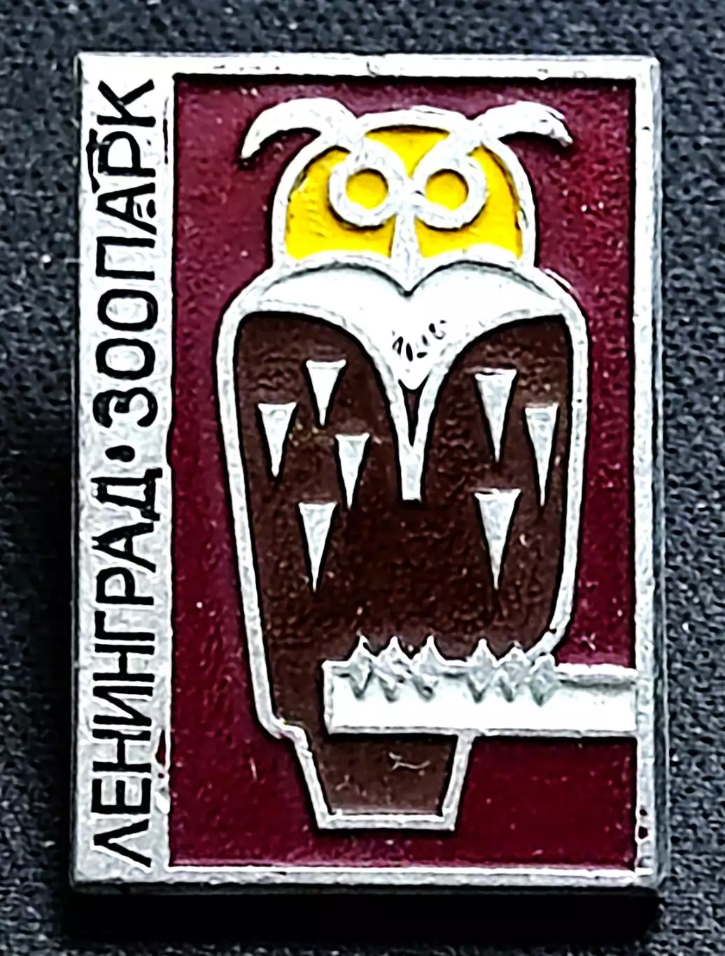 Города. Ленинград. Зоопарк Сова Филин