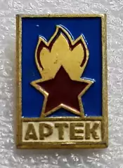 ЦК ВЛКСМ. КОМСОМОЛ. ПИОНЕРИЯ. АРТЕК - МЗСИ