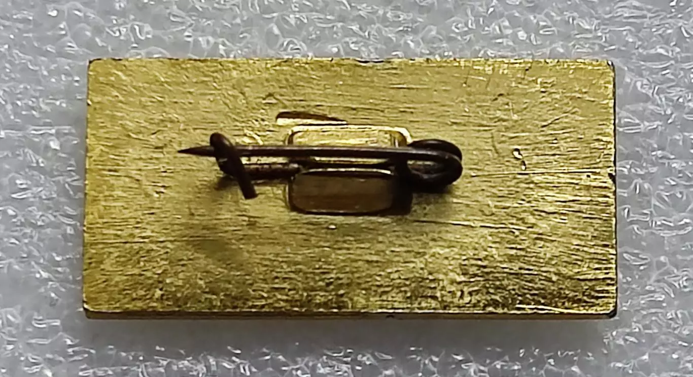 ЦК ВЛКСМ. КОМСОМОЛ. ПИОНЕРИЯ АРТЕК. ЛАГЕРЬ ПРИБРЕЖНЫЙ 1