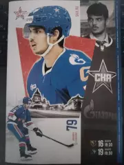 СКА(Санкт-Петербург)-Сочи+Динамо(Минск) 16+19.01.2026