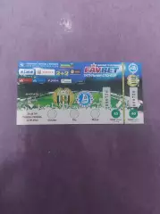 Карпати - Дніпро 2013