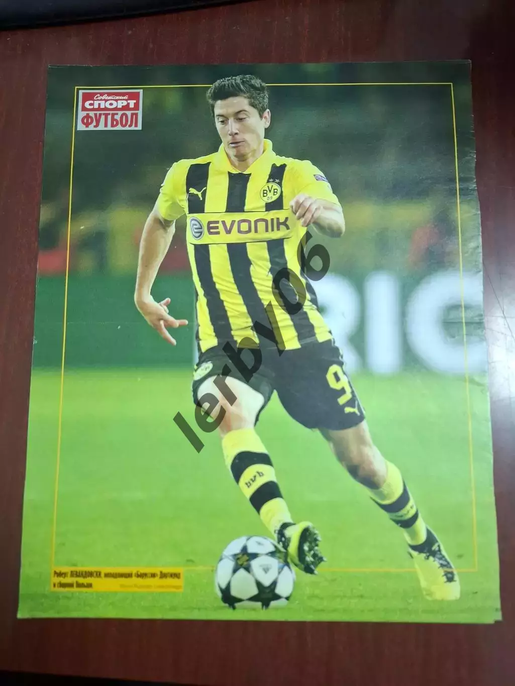 Боруссия (Дортмунд)