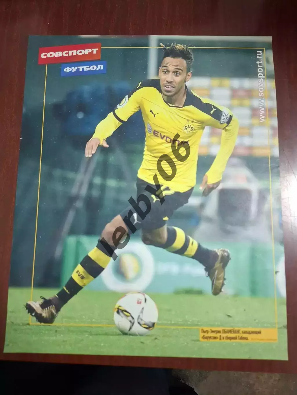 Боруссия (Дортмунд) 2