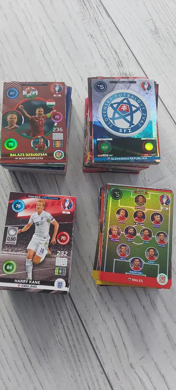 Panin Евро 2016 Adrenalyn XL 1