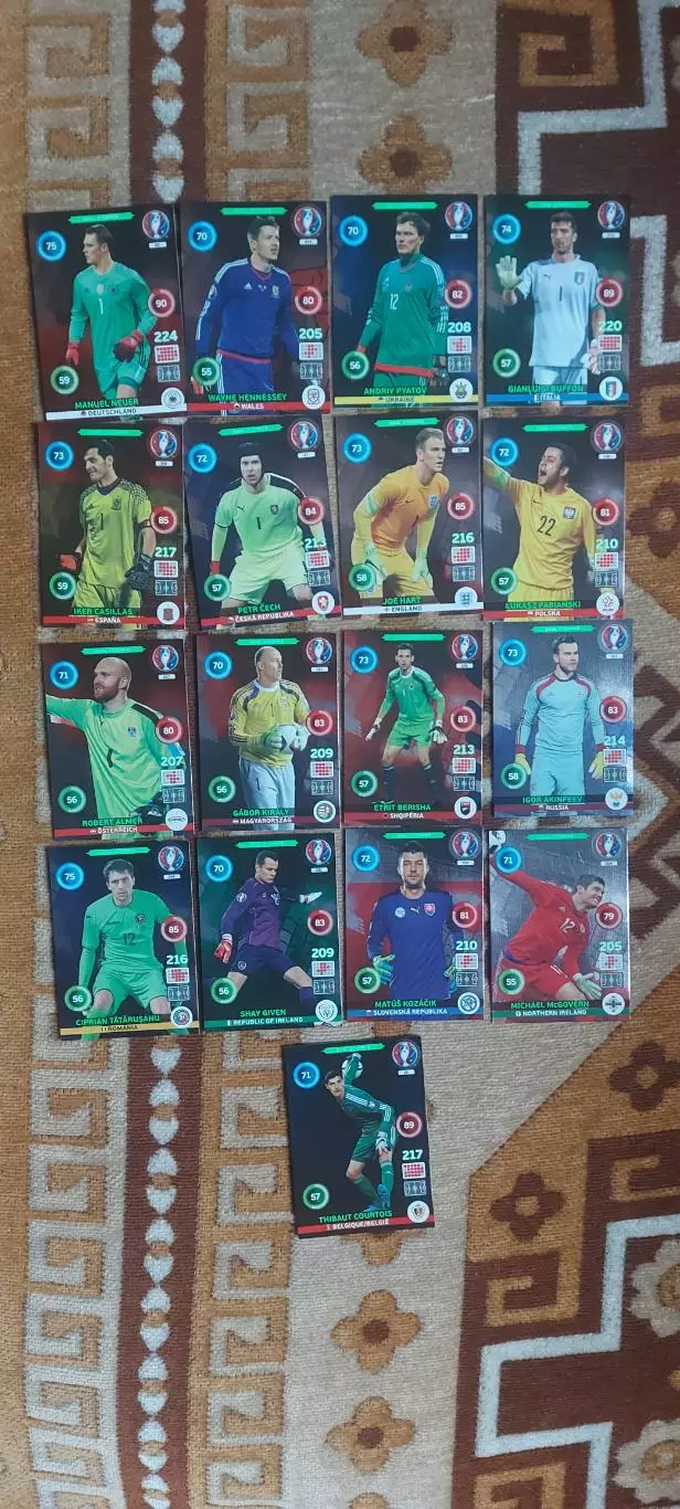 Panin Евро 2016 Adrenalyn XL 2