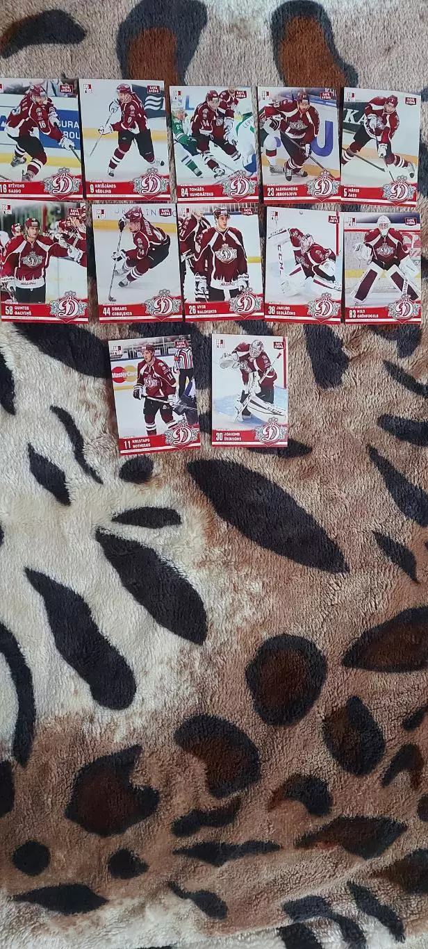 Динамо Рига sereal 2015-2016