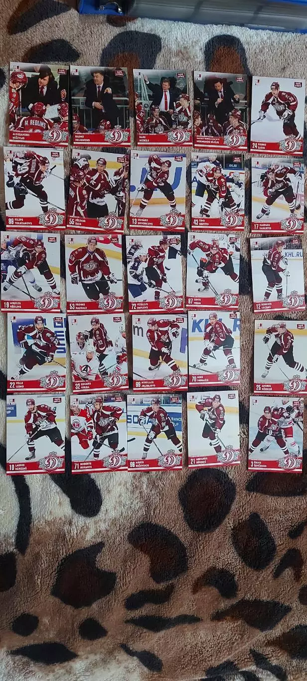 Динамо Рига sereal 2015-2016 1