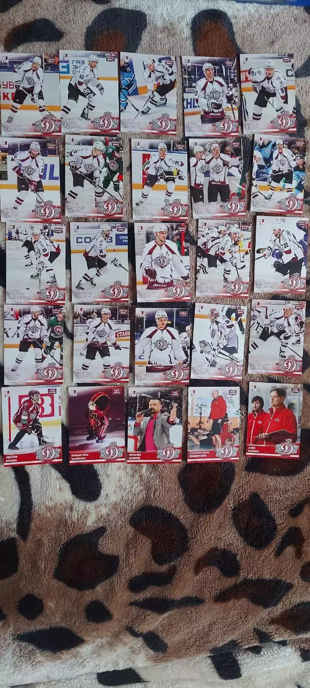 Динамо Рига sereal 2015-2016 2