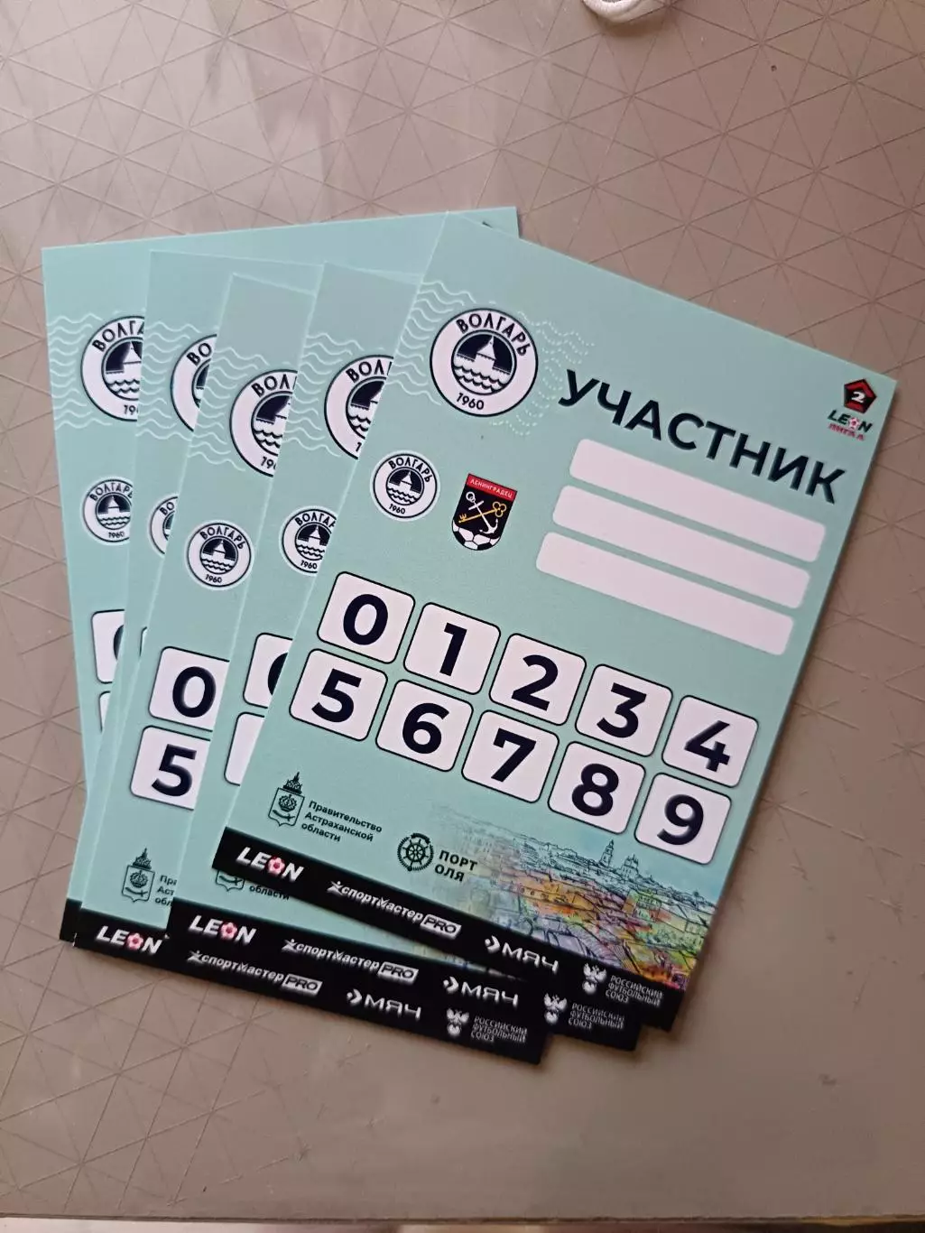 Аккредитация. Вторая лига А. Волгарь - Ленинградец. 02.11.2025