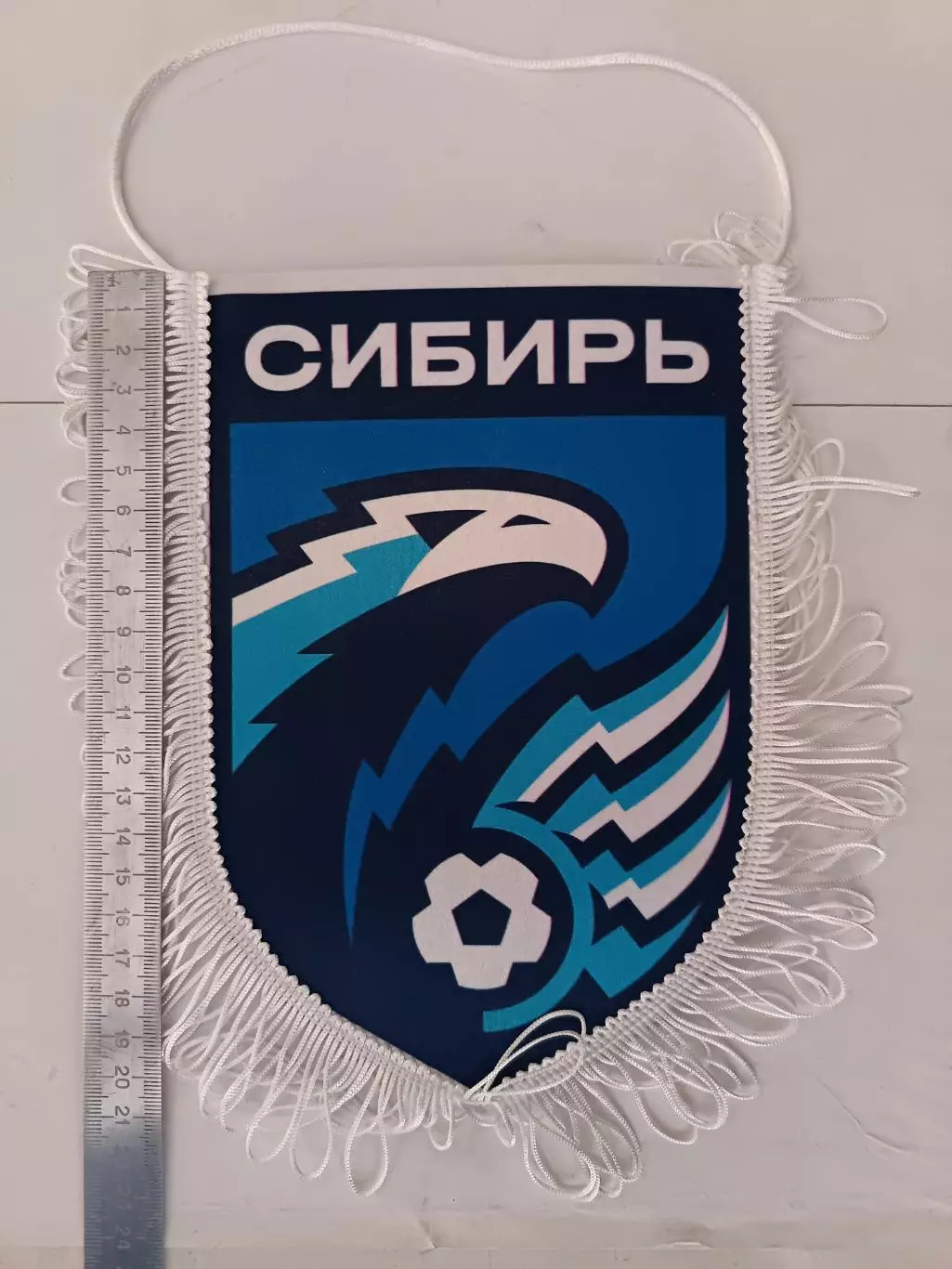 Вымпел. Сибирь Новосибирск, сезон - 2025/26