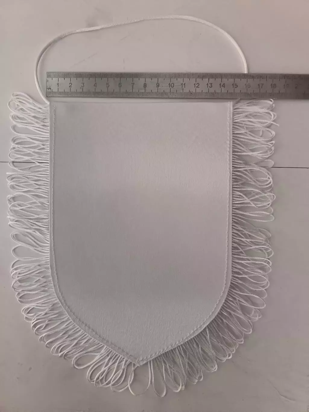 Вымпел. Сибирь Новосибирск, сезон - 2025/26 1