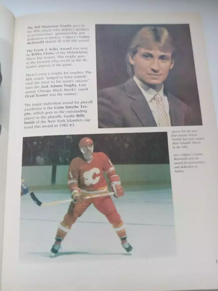 Brain McFarlanes NHL Hockey/Хоккейкнига 2