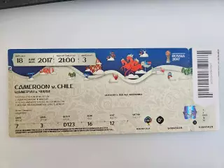 18.06.2017 Камерун - Чили матч №3 Кубок Конфедераций билет