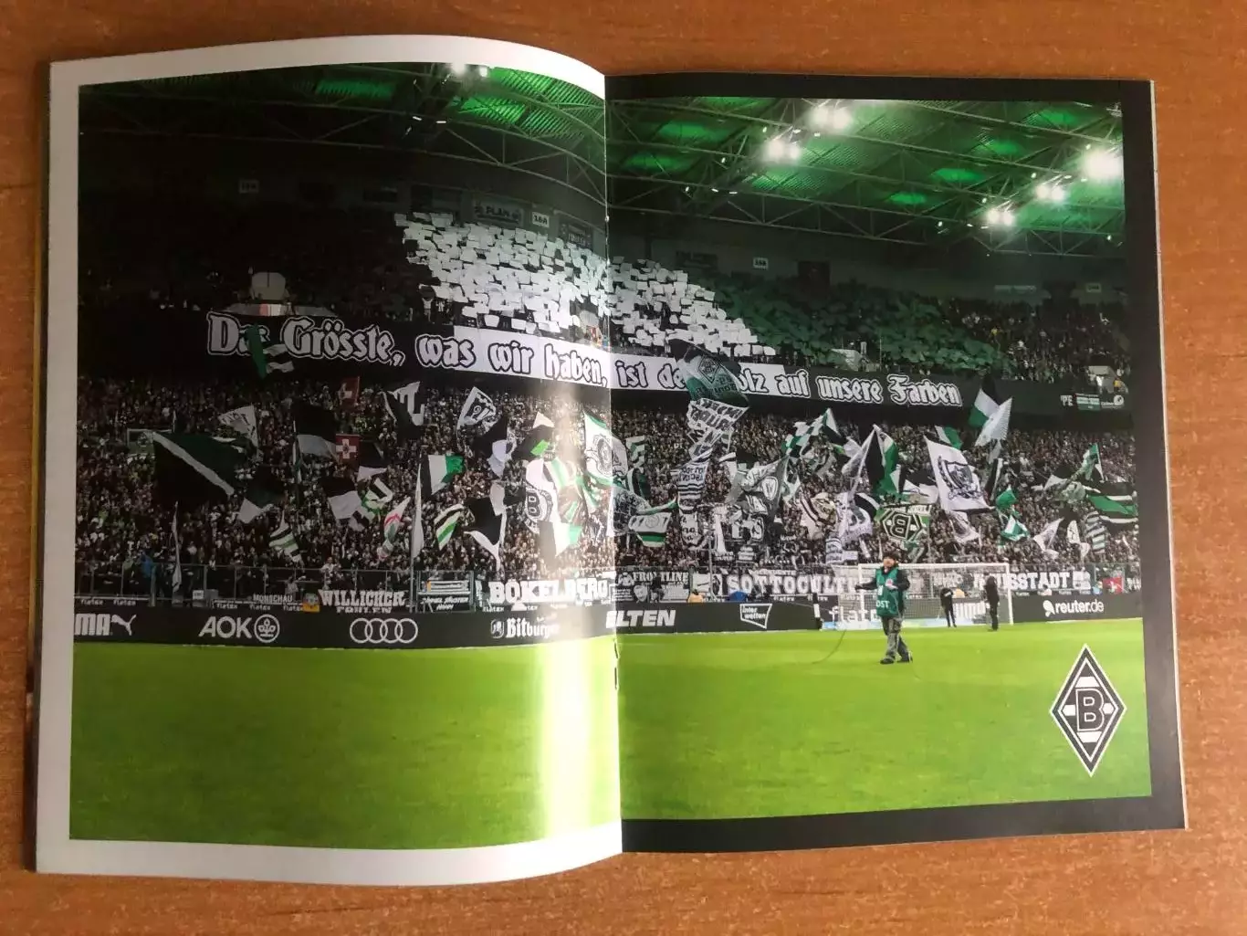 Боруссия Менхенгладбах - Бохум. 06.05.2023 1