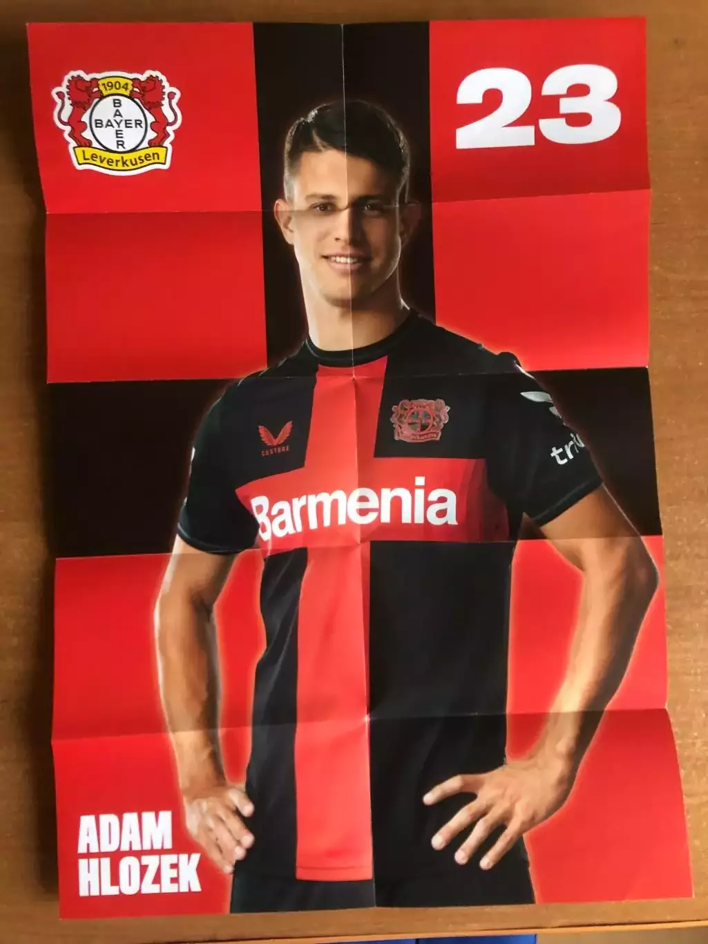 Байер Леверкузен - Унион Берлин. 12.11.2023. Постер 1