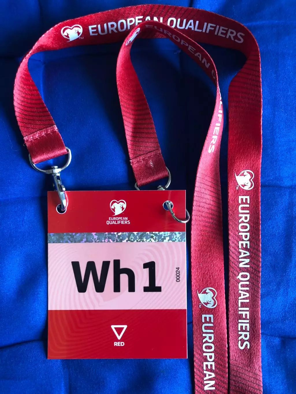 Исландия - Украина. 10.10.2025.