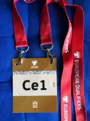 Украина - Швеция. 26.03.2026