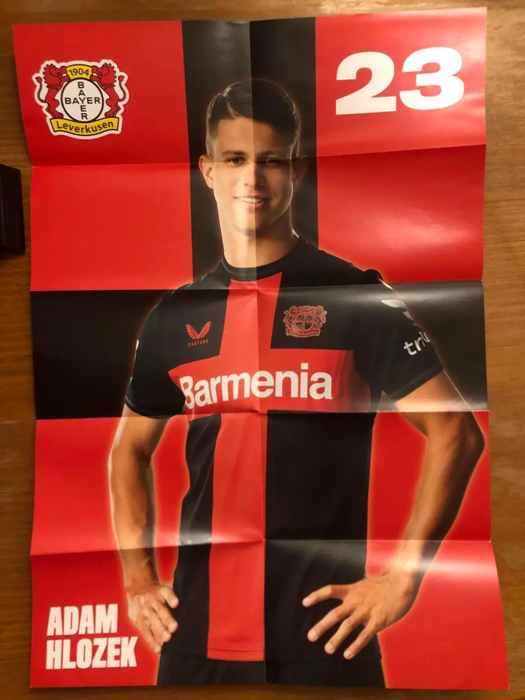 Байер Леверкузен - Унион Берлин. 12.11.2023. Постер 1