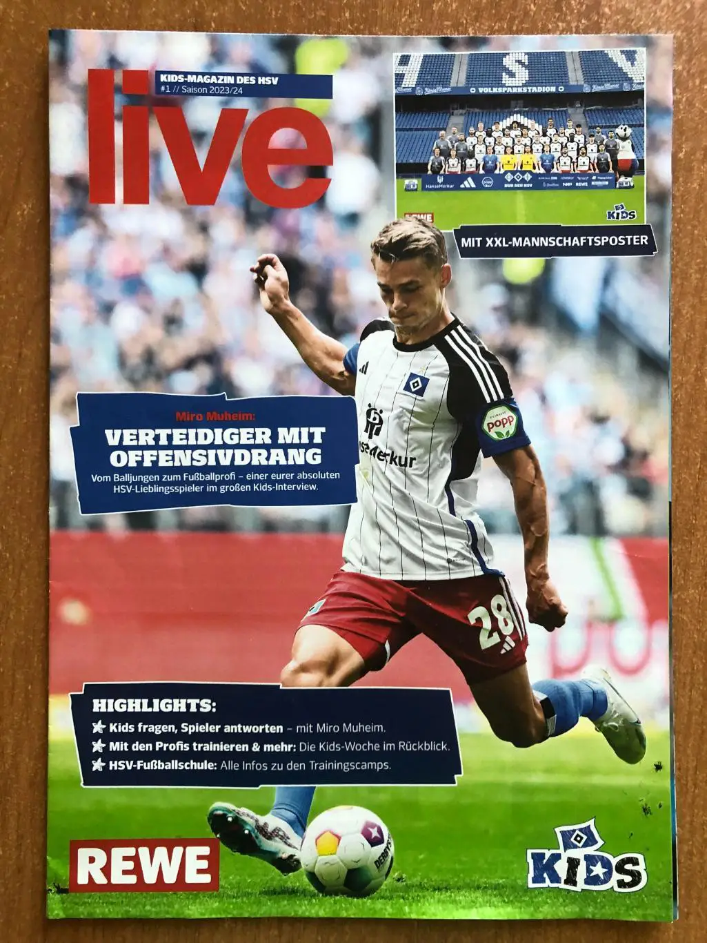 Постер ФК Гамбург сезон-2023/24 1