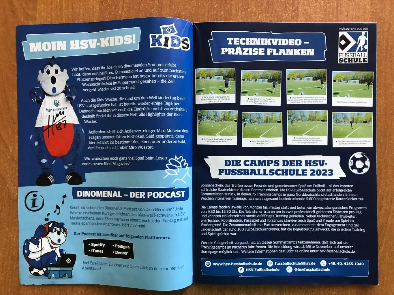 Постер ФК Гамбург сезон-2023/24 2