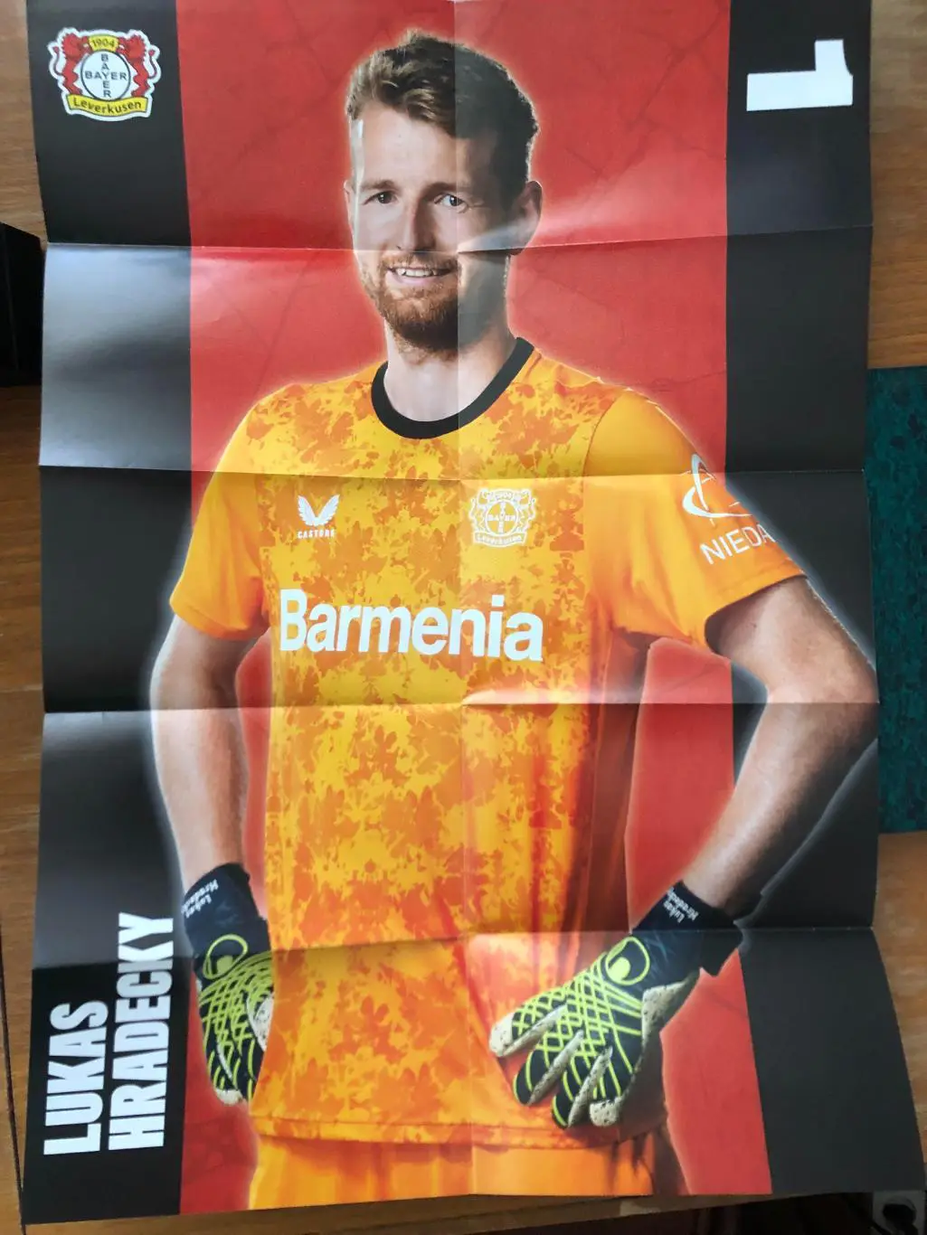 Байер Леверкузен - Фрайбург. 21.12.2024. Постер 1