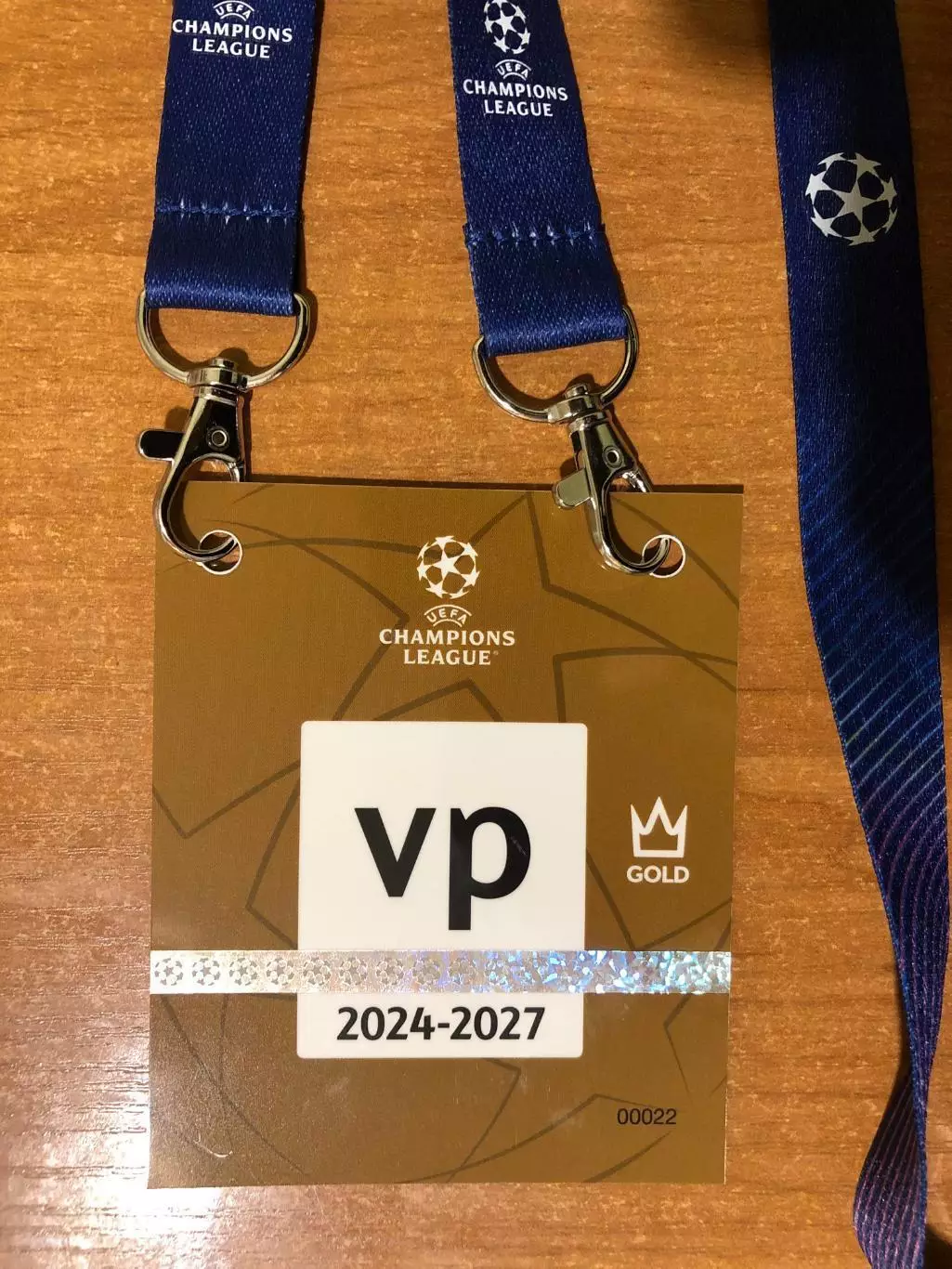 Скидки! Шахтер - Янг Бойз. 07.11.2024