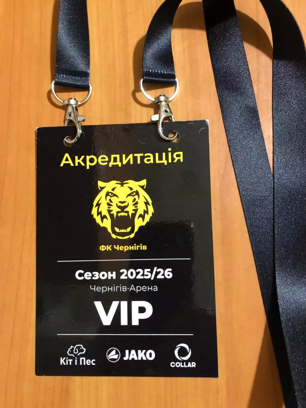 ФК Чернигов - Кривбасс. 17.09.2025. Кубок Украины