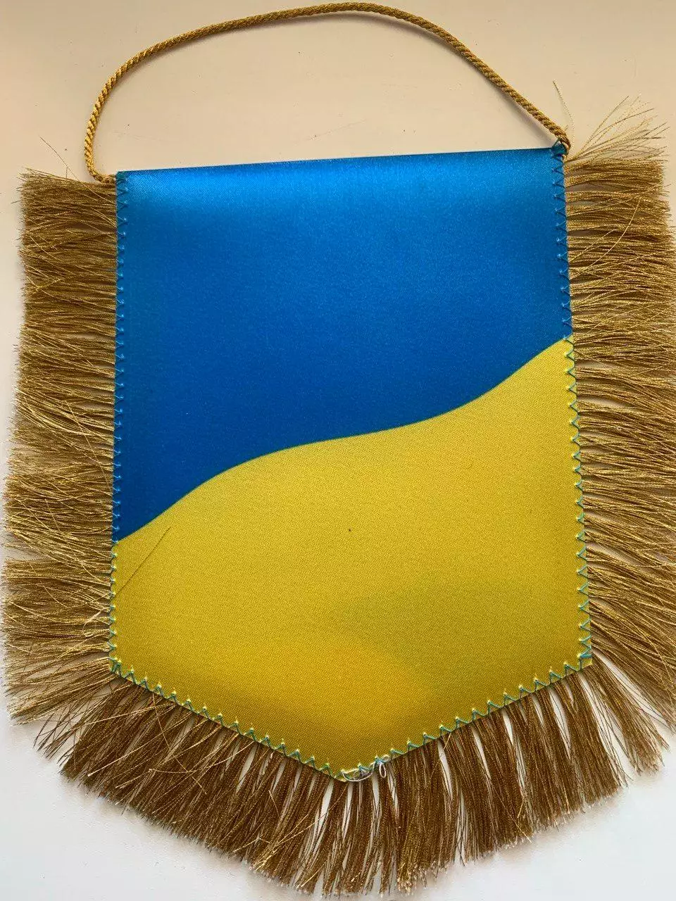 Швейцария - Украина 17.11.2020. Вымпел УАФ. Матч не состоялся 1