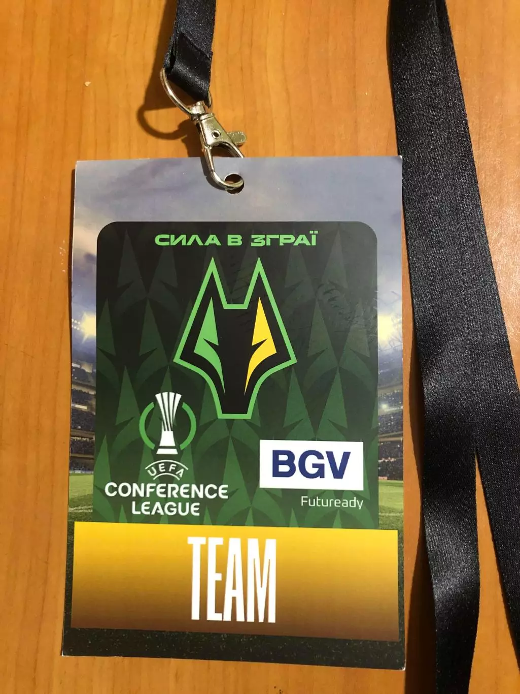 Полесье Житомир - Фиорентина (Италия). 21.08.2025