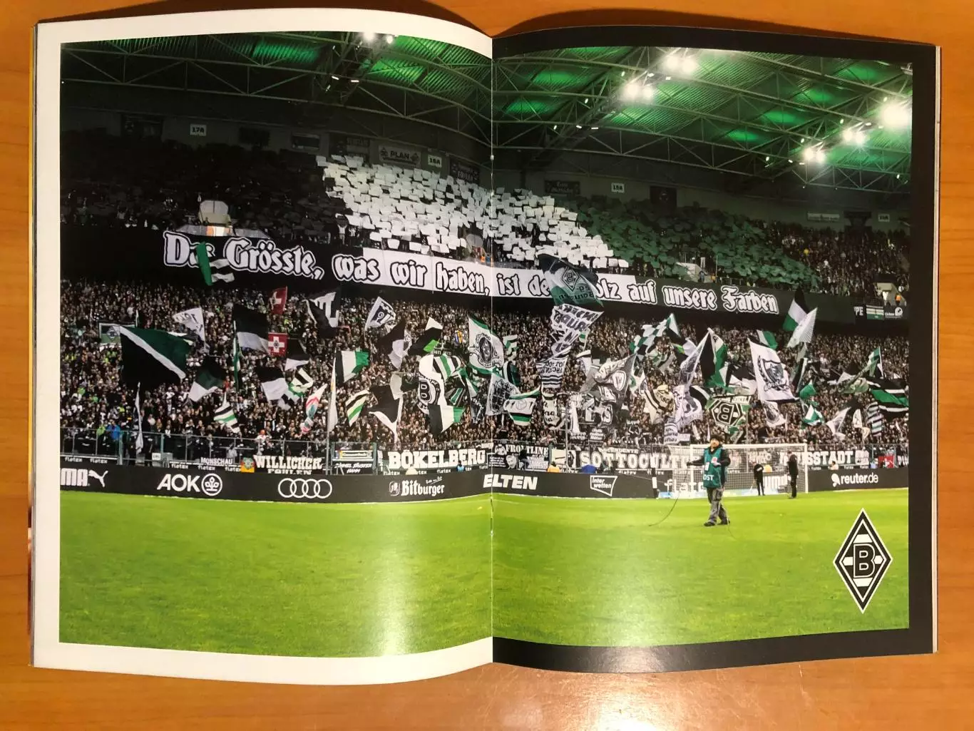 Боруссия Менхенгладбах - Бохум. 06.05.2023 1