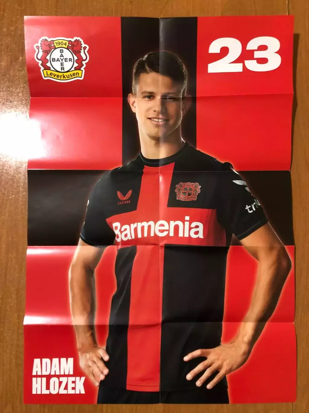 Байер Леверкузен - Унион Берлин. 12.11.2023. Постер 1