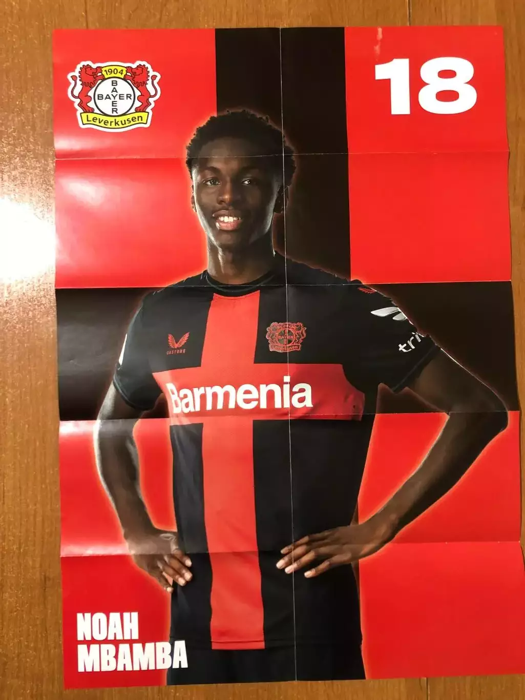 Байер Леверкузен - Падерборн. Кубок Германии. 06.12.2023. Постер 1