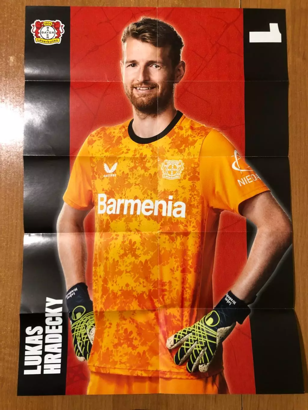 Байер Леверкузен - Фрайбург. 21.12.2024. Постер 1