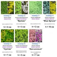 ОЧИТКИ 7 видов