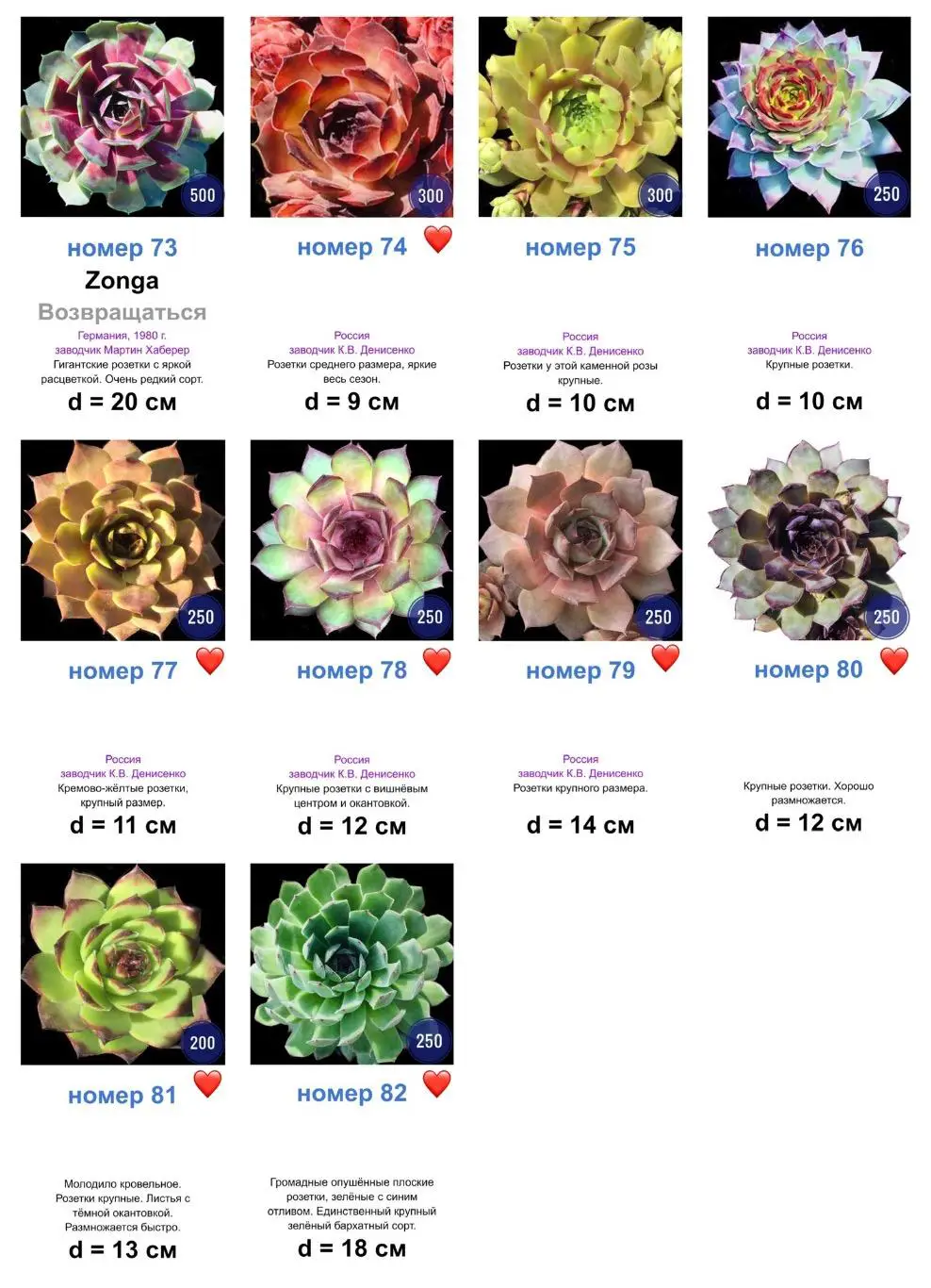 КАМЕННЫЕ РОЗЫ (молодила) 82 сортa 6