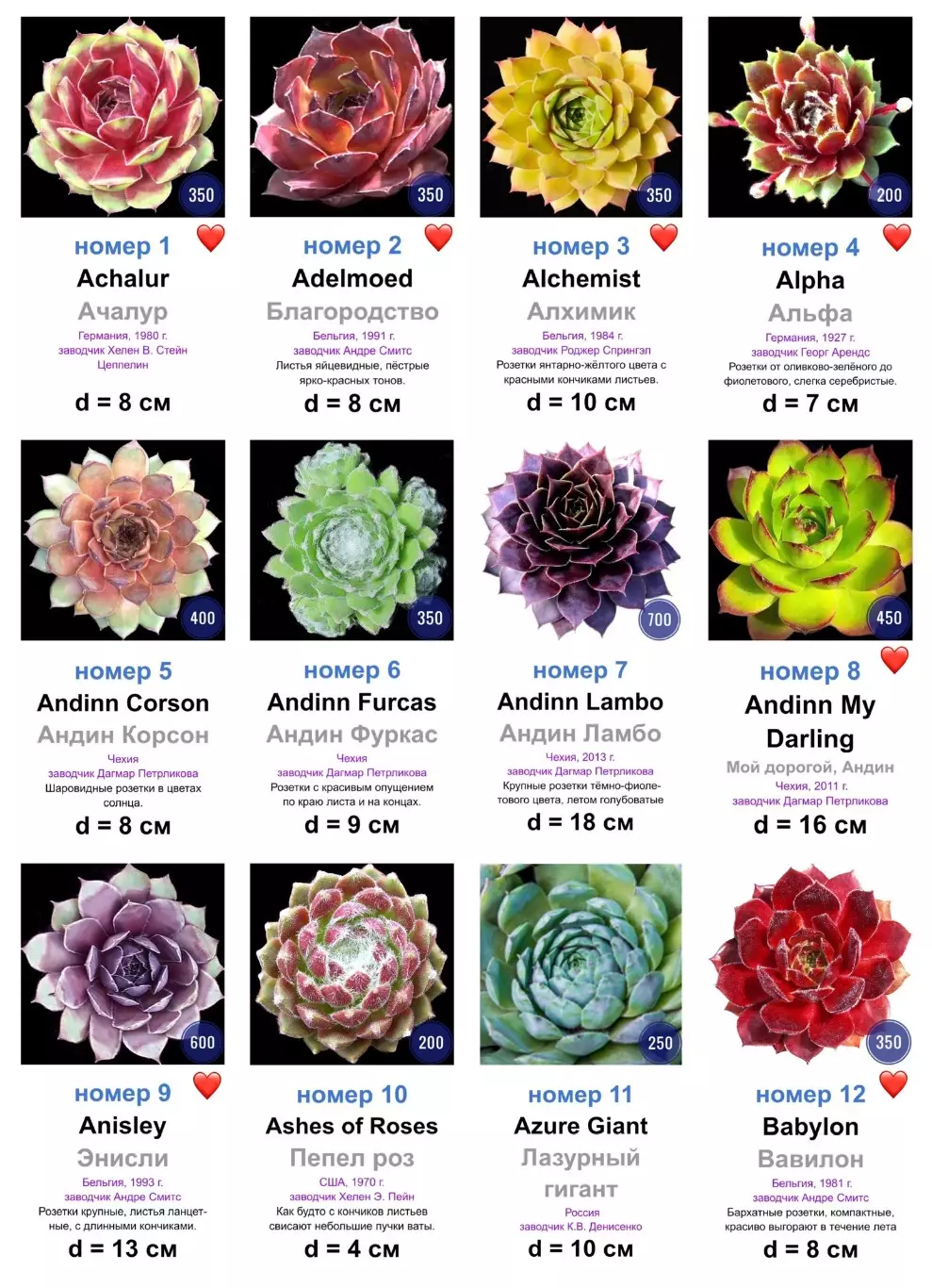 КАМЕННЫЕ РОЗЫ (молодила) 133 сортa (1 часть)
