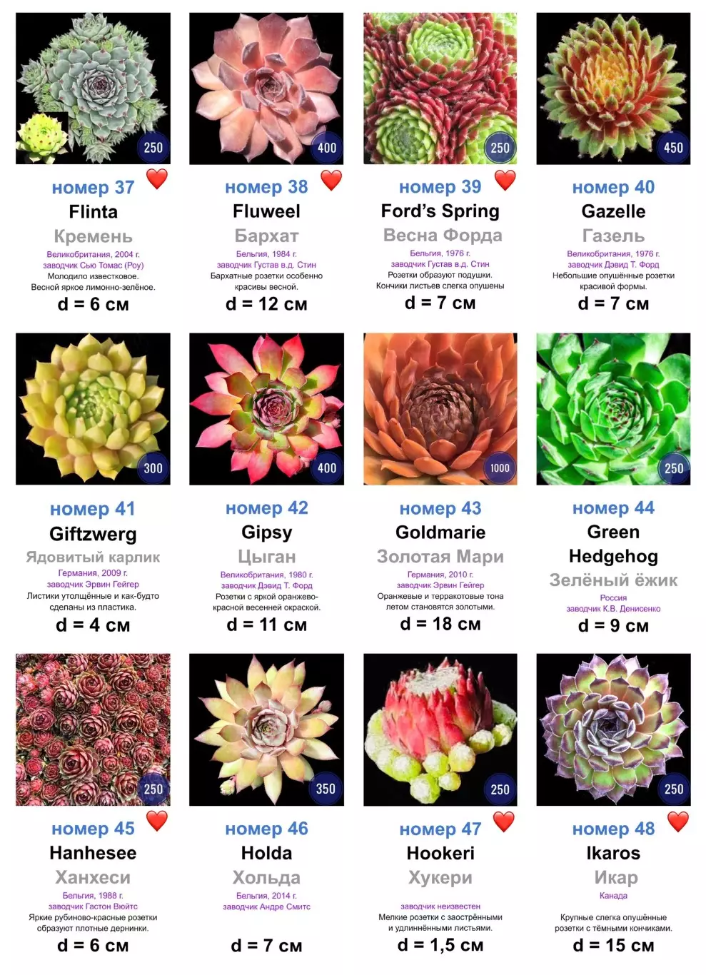 КАМЕННЫЕ РОЗЫ (молодила) 133 сортa (1 часть) 3