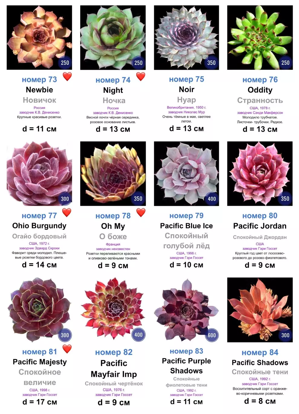 КАМЕННЫЕ РОЗЫ (молодила) 133 сортa (1 часть) 6