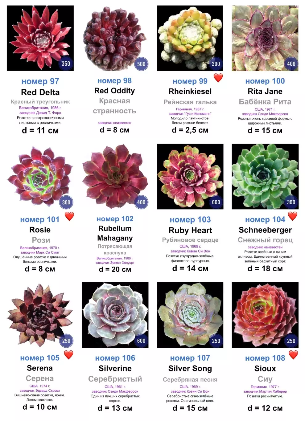 КАМЕННЫЕ РОЗЫ (молодила) 133 сортa (2 часть)
