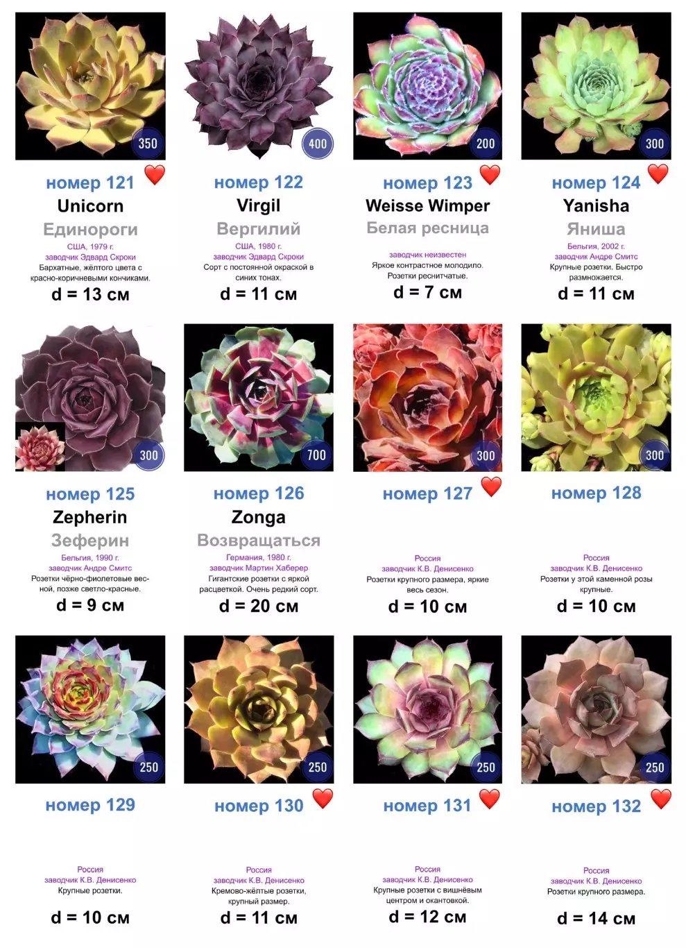 КАМЕННЫЕ РОЗЫ (молодила) 133 сортa (2 часть) 2