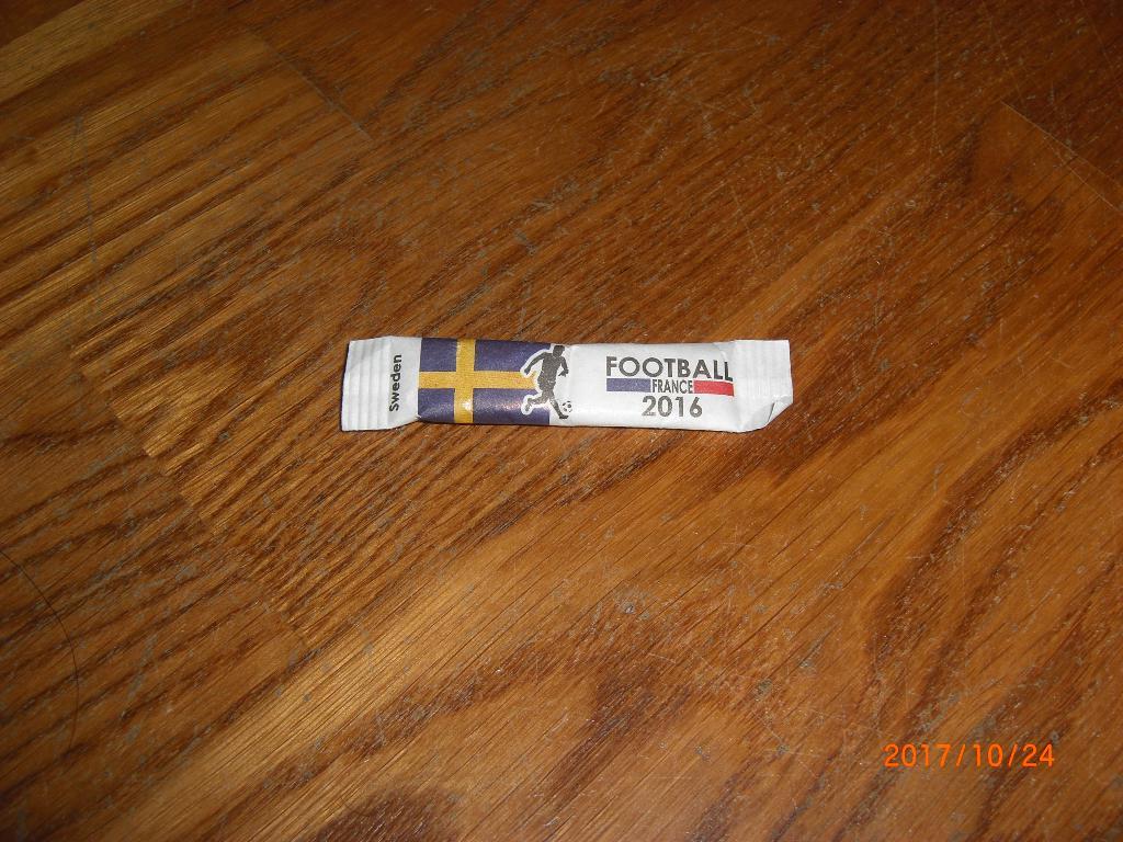 Чемпионат Европы 2016 Сборная Швеции