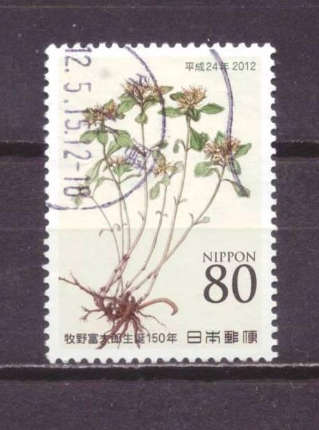Япония гаш. флора № 5377