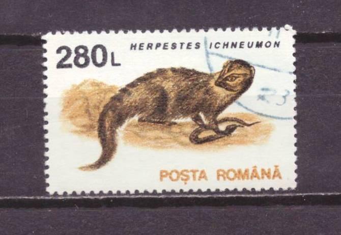 Румыния гаш. фауна № 5433