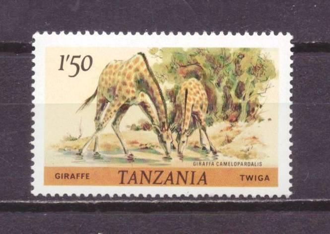 Танзания чист . фауна № 5348
