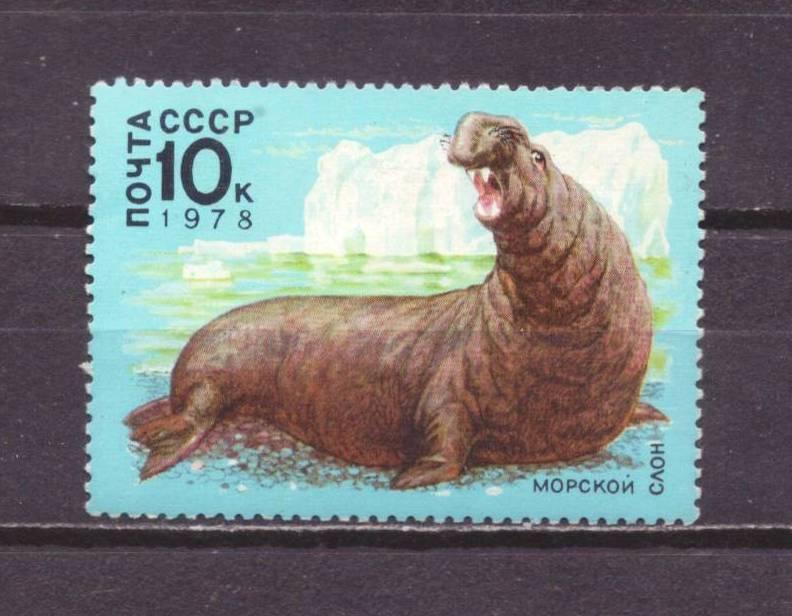 СССР чист . фауна № 1242